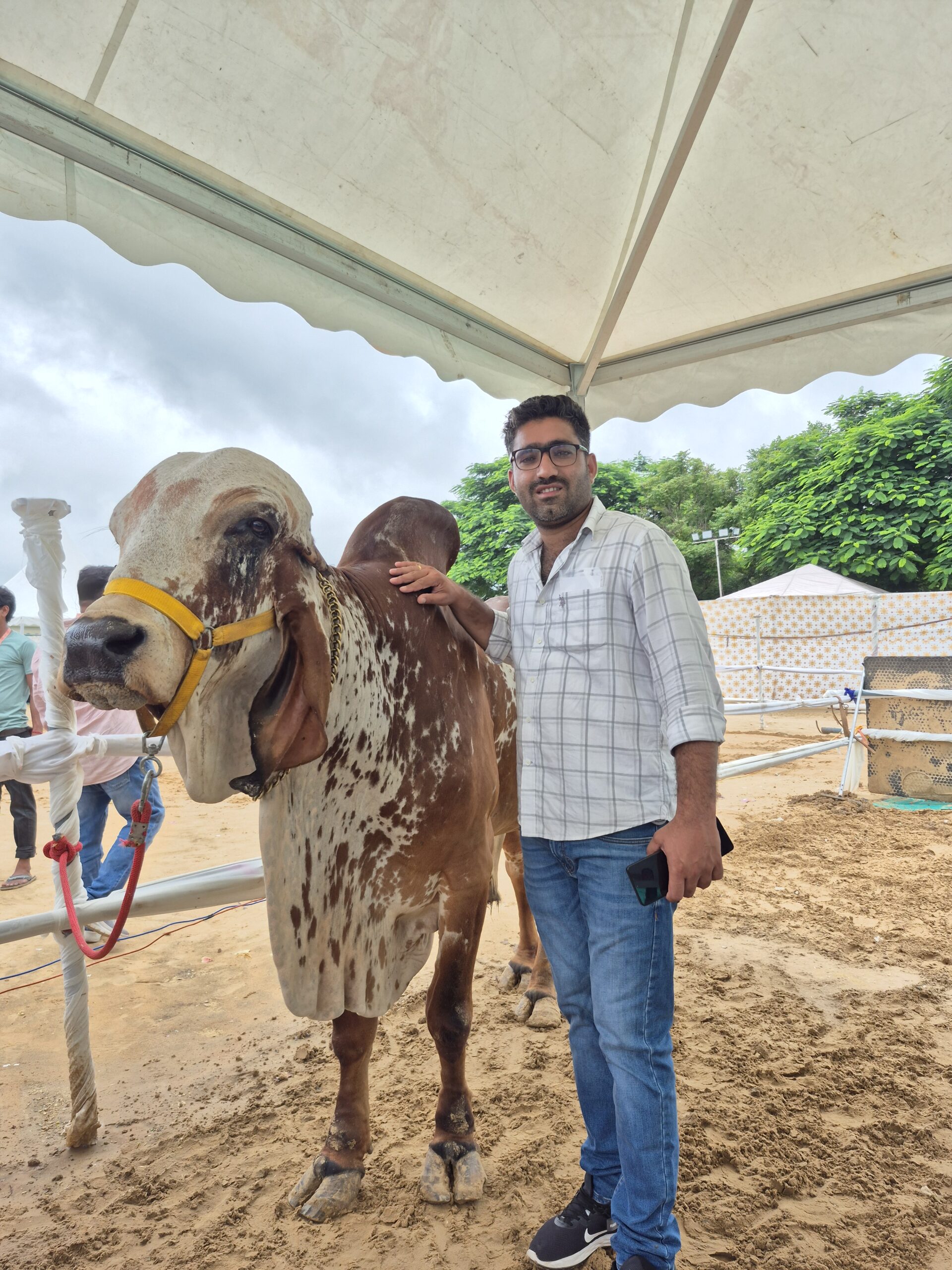 Village to Home Farm
